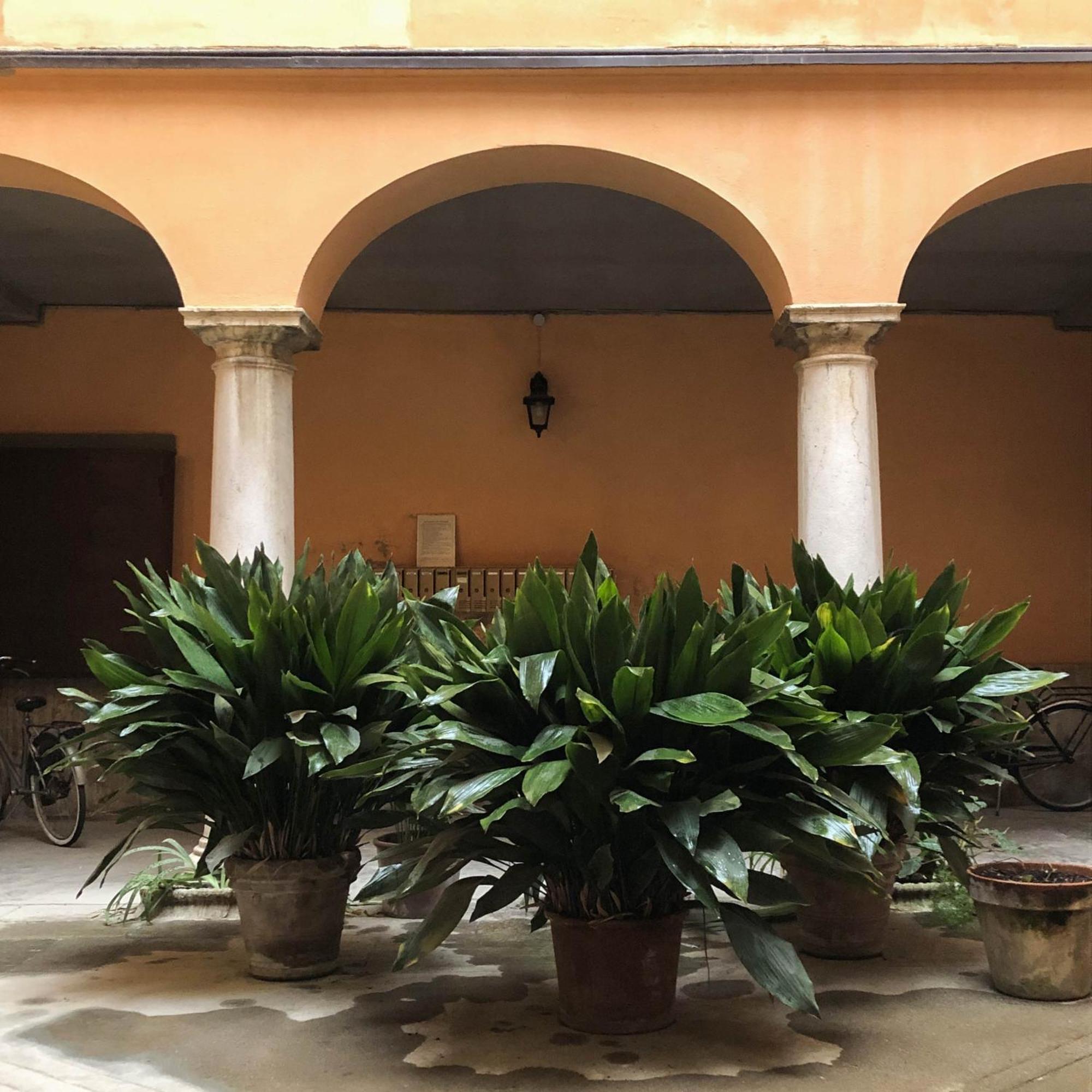 Casa Giulietta Διαμέρισμα Κρεμόνα Εξωτερικό φωτογραφία